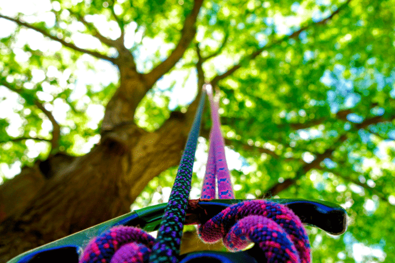 L&rsquo;Accrobranche : Pourquoi nous avons tous besoin de retrouver la cime des arbres