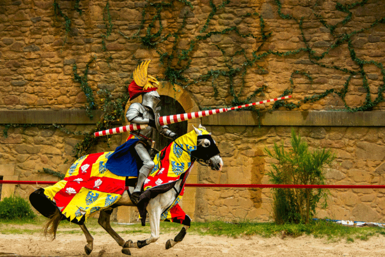 Avis Puy Du fou