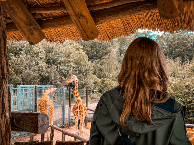 Une personne visitant les plus beaux zoos de France