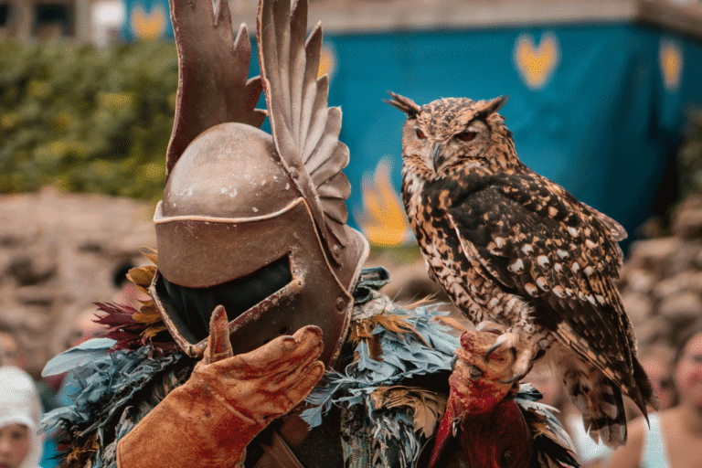 Avis sur les hotels du Puy Du Fou