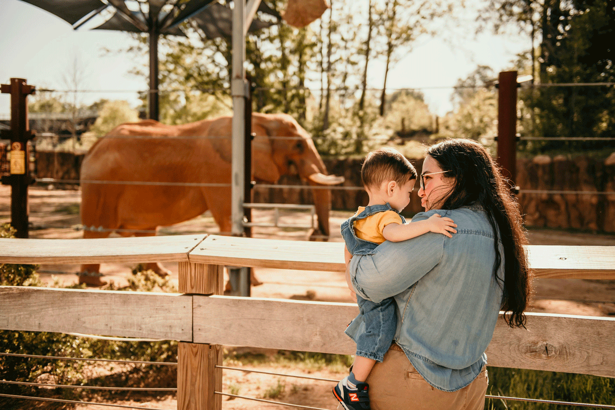 Zoo adapté aux bébés en France avec poussette et espaces famille