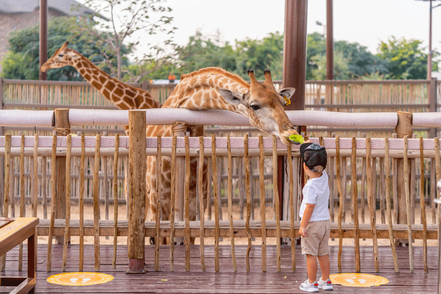 Visiter un zoo avec bébé en poussette lors d’une première sortie familiale